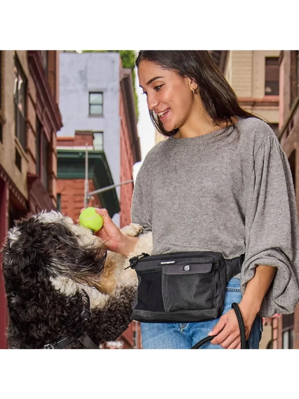 Hands-Free 2-in-1 Dog Walking Bag - Versatile, Stylish, Graphite Color
